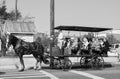 Horse and carriage tour around Charleston, South Carolina. Royalty Free Stock Photo