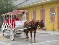 Horse Carriage Tour of the French Quarter Neighborhood of New Orleans Royalty Free Stock Photo