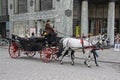 Horse carriage with tourists in Heldenplatz, Vienna