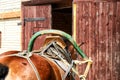 Horse and Carriage for Tourists the national farmstead Dudutki Belarus Royalty Free Stock Photo