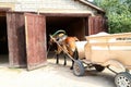 Horse and Carriage for Tourists the national farmstead Dudutki Belarus Royalty Free Stock Photo