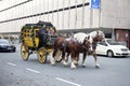 The horse carriage with tourists rides along the streets in Nuremberg, Bavaria,