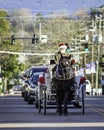 Horse and carriage with traffic portrait Royalty Free Stock Photo