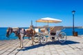 Horse carriage for transporting tourists