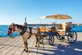 Horse carriage for transporting tourists