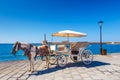 Horse carriage for transporting tourists