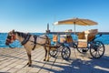 Horse carriage for transporting tourists