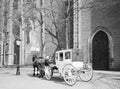 Horse carriage, Utrecht, The Nederlands Royalty Free Stock Photo