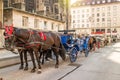 Horse carriage in Vienna