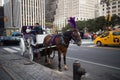 Horse and Carriage Waiting to Give a Ride in New York City Royalty Free Stock Photo