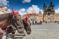 Horse Carriage waiting for tourists at the Old Square in Prague. Royalty Free Stock Photo