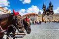 Horse Carriage waiting for tourists at the Old Square in Prague. Royalty Free Stock Photo