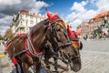 Horse Carriage waiting for tourists at the Old Square in Prague. Royalty Free Stock Photo