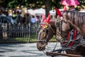 Horse Carriage waiting for tourists at the Old Square in Prague. Royalty Free Stock Photo