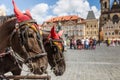 Horse Carriage waiting for tourists at the Old Square in Prague. Royalty Free Stock Photo