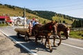 Horse carriage with wooden planks on mountain road in Bihor, Romania, 2021