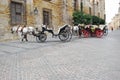 Horse carriages