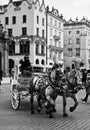 Horse carriages in Cracow, Poland