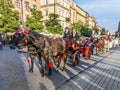 Horse carriages in front of Mariacki church on main square of Kr Royalty Free Stock Photo