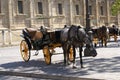 Horse carriages in front of Seville Cathedral in Spain Royalty Free Stock Photo