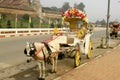 Horse Carriages near Lampang Thailand Soutch East Asia.Horse in Royalty Free Stock Photo