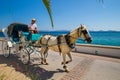 The horse carriages in the old style - idyllic island Spetses