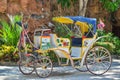 Horse carriages for tourist Royalty Free Stock Photo