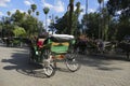 Horse carriages wait in the Djemma el Fna