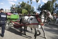 Horse carriages wait in the Djemma el Fna
