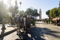 Horse carriages waiting for tourists in front of mosque in Marrakech, Morocco Royalty Free Stock Photo