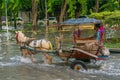 Horse with a cart acting as a taxi transport in Jakarta during a flood. Royalty Free Stock Photo