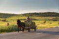 Horse cart carrying hay harvest, in Sibiu County, Transylvania Royalty Free Stock Photo