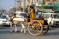 Horse cart in the city