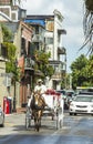 Horse cart driver rides to Jackson