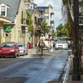 Horse cart driver rides to Jackson