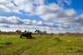 Horse with cart on field Royalty Free Stock Photo