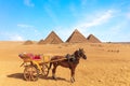 A horse with the cart in front of the Great Pyramids of Giza, Egypt Royalty Free Stock Photo