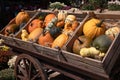 Horse cart full of ripe pumpkins of various colors and sizes outside the Greek garden shop for home and garden Royalty Free Stock Photo