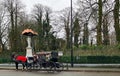 Horse with cart in Killarney