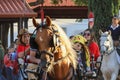 Horse cart at National Horse Fair 2022 in Golega, Portugal.