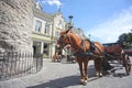 Horse & cart next to the city gates of the old town, Tallinn, Estonia. Royalty Free Stock Photo