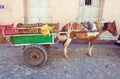 Horse Cart in the old town, Trinidad, Cuba