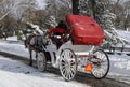 Horse Cart Riding Royalty Free Stock Photo