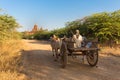 Horse cart running in Bagan plain