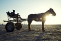 Horse and Cart Sunset on Brazilian Beach