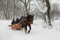 Horse and cart under snowfall