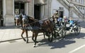 Horse cart on the Viennese Street