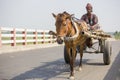 Horse and cart in the village of Gorpara, Manikgonj , Bangladesh. Royalty Free Stock Photo