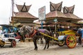 Horse cart wearing fashionable sunglasses.