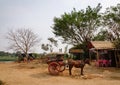 Horse carts on rural road in Innwa, Myanmar